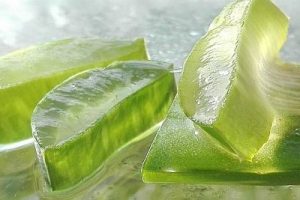 Aloe Vera Saft Mild: Kann die Schleimhäute beruhigen und die Verdauung fördern